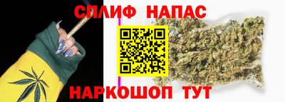 дмт Можайск