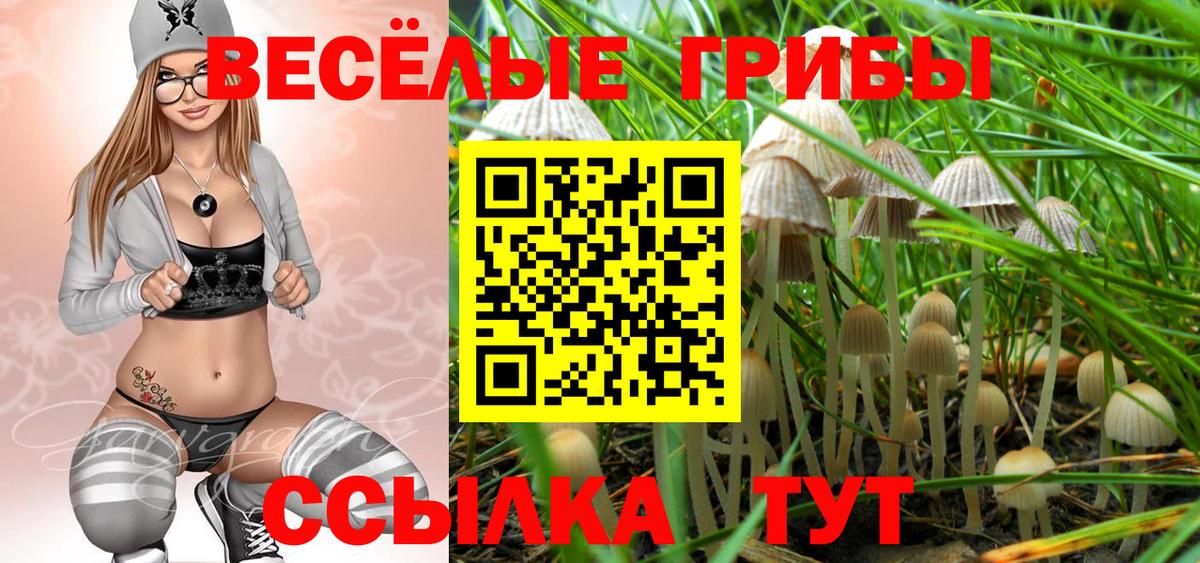 Псилоцибиновые грибы мицелий  Вход с VPN  закладка  Урус-Мартан 